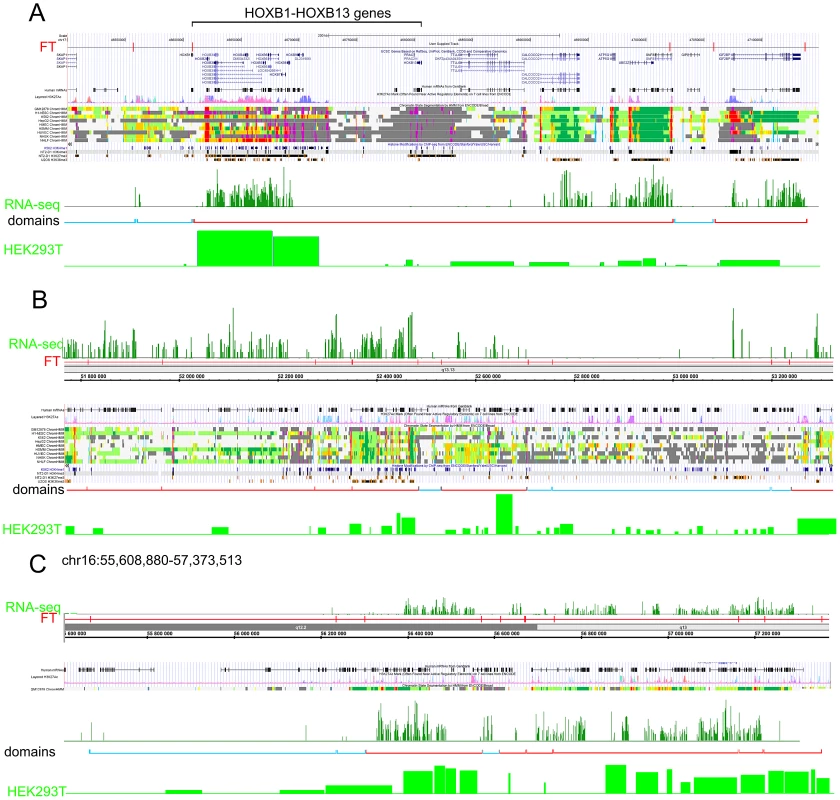 Coordinated expression inside forum domains.