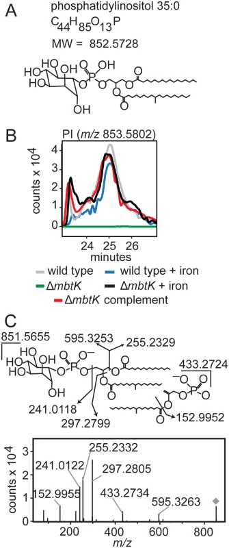 <i>mbtK</i> deletion depletes phosphatidylinositol during iron starvation.