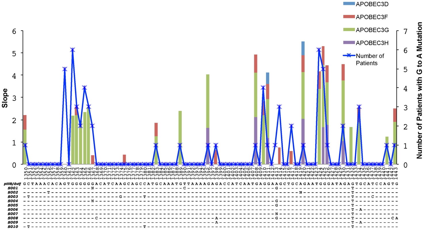 Overlap of the APOBEC3 edited HIV-1 genomes in cell culture experiments and in patients.