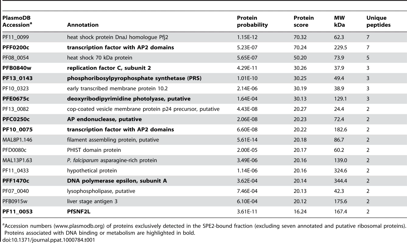 Putative SPE2-interacting protein candidates identified by LC-MS/MS.