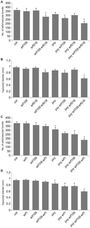 Quantitative analysis of vascular cell division in <i>erf109</i>, <i>erf018</i>, <i>erf1</i>, and <i>pxy</i> mutant combinations.