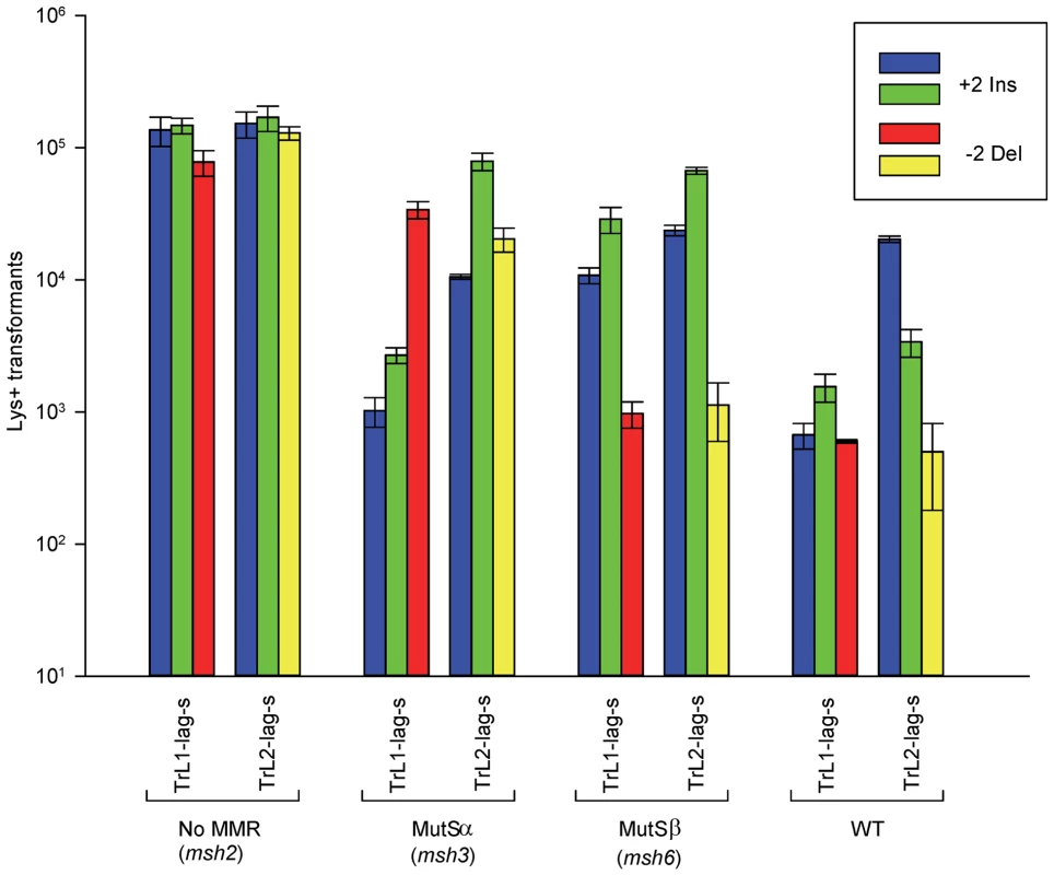 Effect of MMR on 2-nt in/del mismatches.