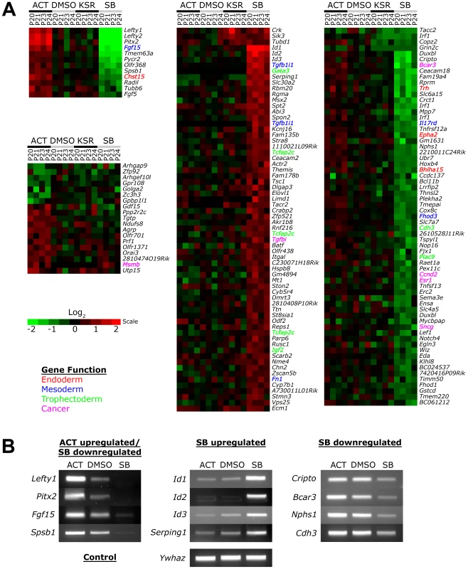 Increased and Decreased Nodal/Activin Signaling Leads to Transcriptional Regulation of Specific Subsets of Target Genes.