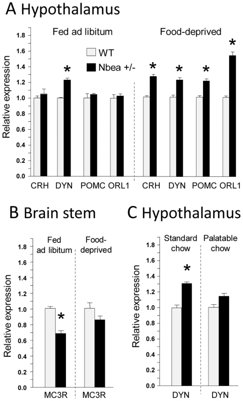 Differential expression of feeding-related genes in <i>Nbea+/−</i> and WT mice under different feeding paradigms.