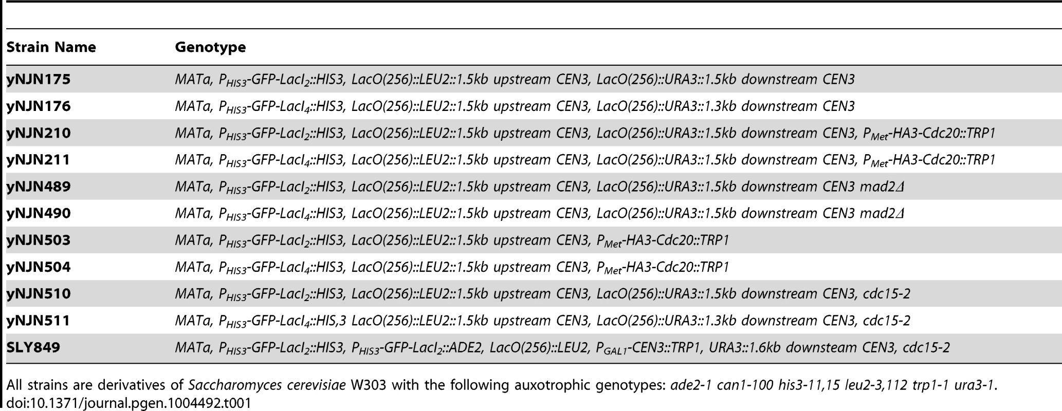 Strains used in this study.