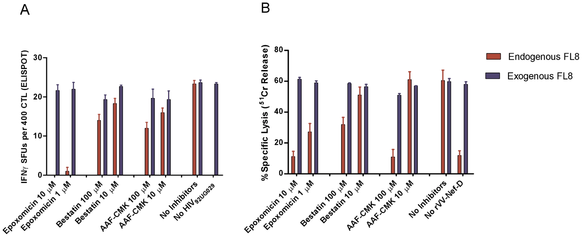 Immunoproteasomes and proteasomes are pivotal to the generation of endogenously processed FL8 epitope.