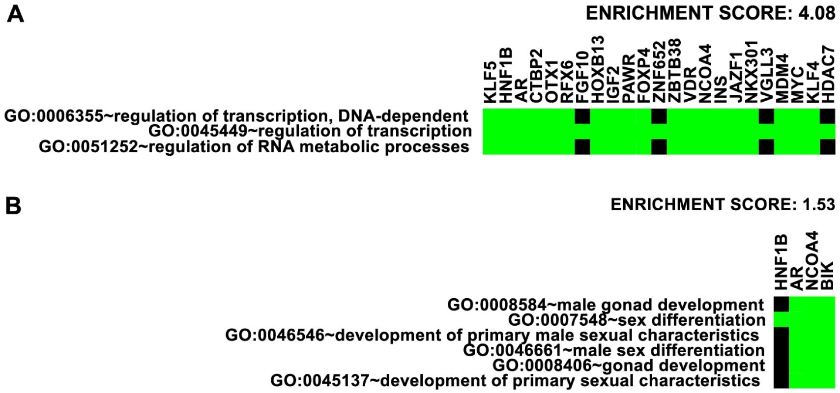 Enrichment of Gene Ontology.