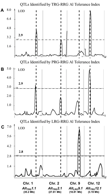 QTLs Identified in IR64 × Azucena RIL Mapping Population.