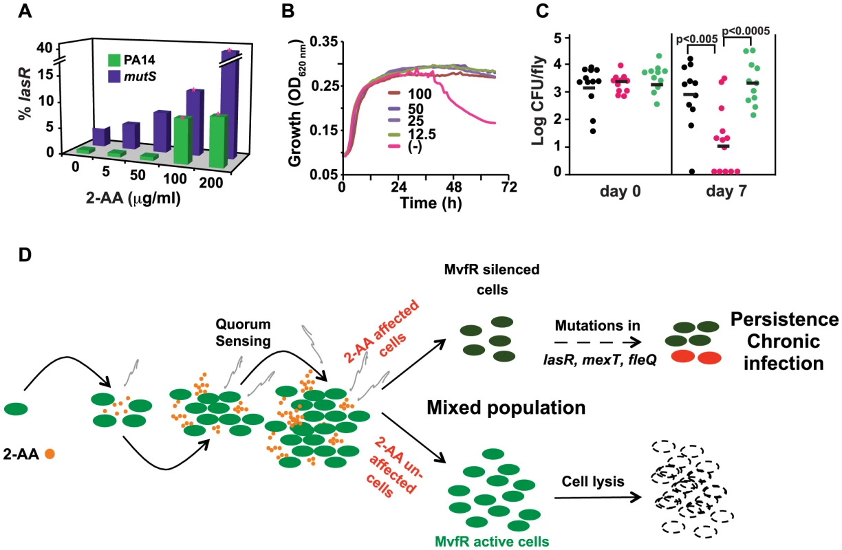 2-AA promotes phenotypes associated with pathogenic bacteria at chronic infection sites.