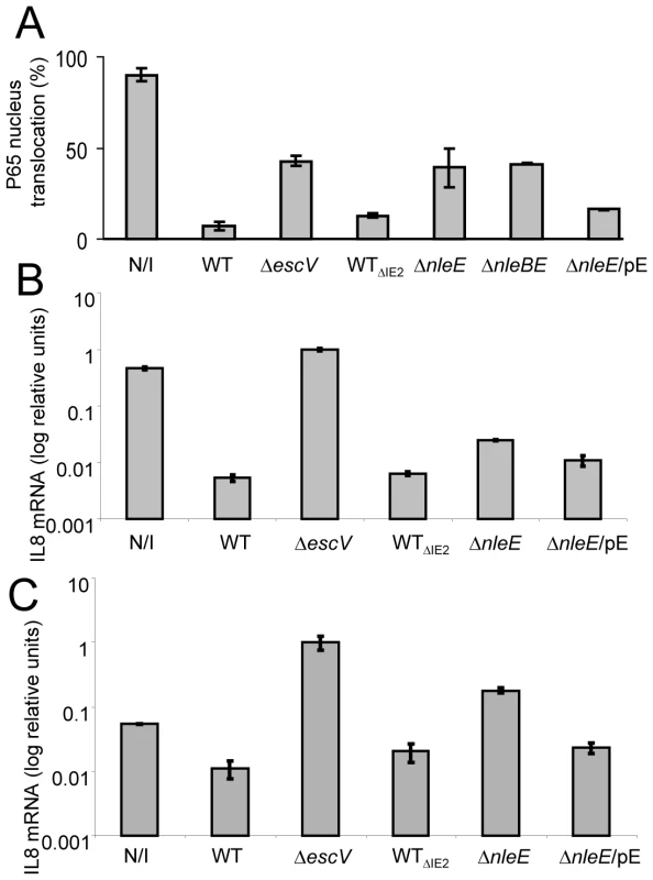 NleE is required to block IL-8 secretion by EPEC.