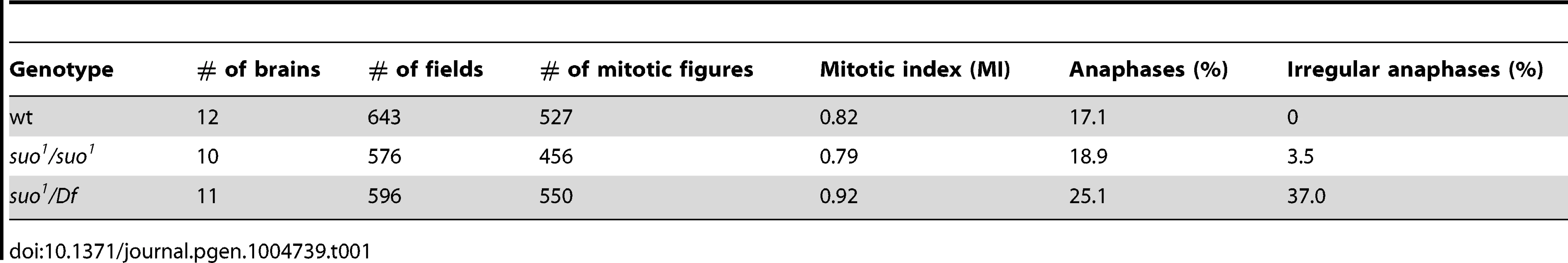 Mitotic parameters in <i>Top2</i> mutants.