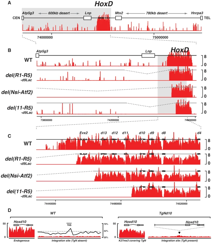 Effect of large deletions upon the H3K27me3 profiles.