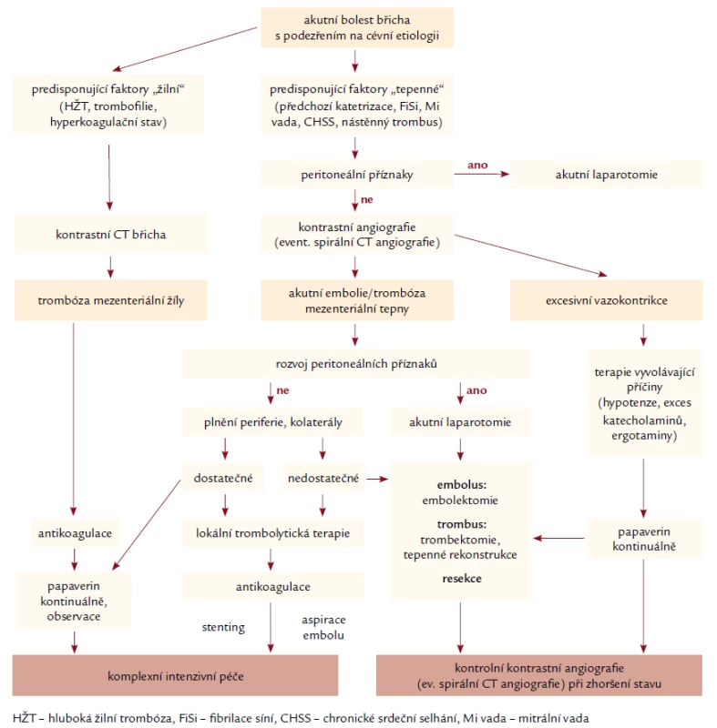 Schematický algoritmus diagnostiky a terapie akutní okluze mezenterické tepny, upravený autory podle Schootse et al [4] a ACC/AHA 2005 guidelines [7] se začleněním trombolytické terapie.