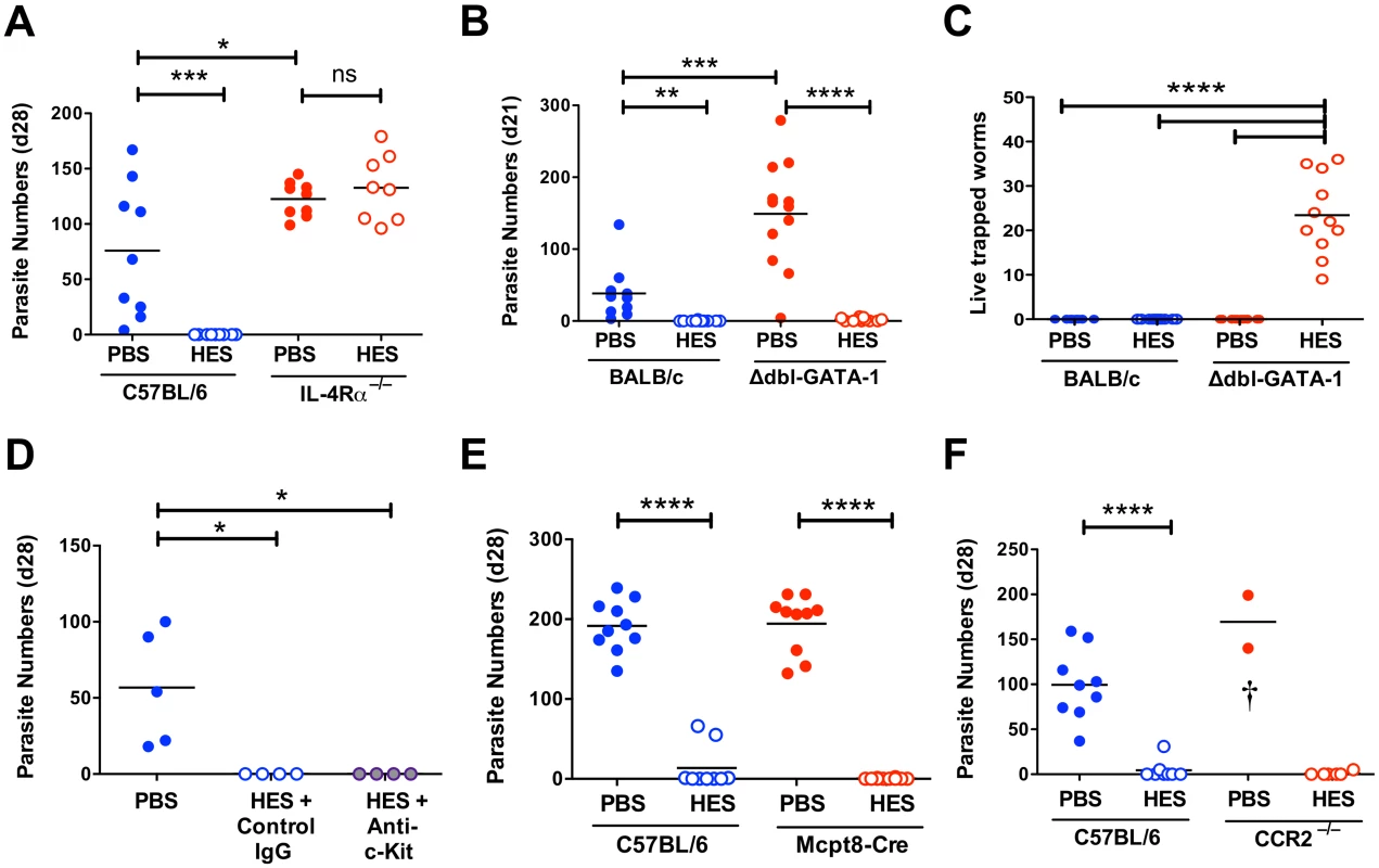 Vaccine-induced immunity requires IL-4R-mediated signaling but not eosinophils, mast cells, basophils or CCR2+ monocytes.