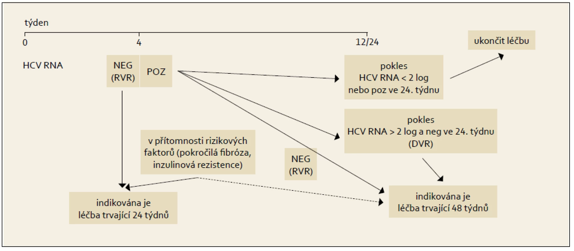 Léčba vedená podle dosažené virologické odpovědi během terapie, genotypy HCV 2 + 3.
Fig. 7. Treatment administered based on the achieved virological response during the therapy, HCV 2 + 3 genotypes.
