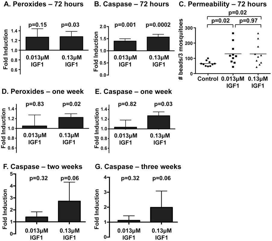 Midgut peroxides and epithelial integrity were altered at 72-IGF1 feeding.