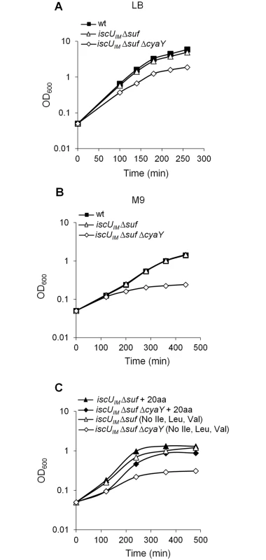 The <i>iscU</i><sub><i>IM</i></sub> Δ<i>suf</i> Δ<i>cyaY</i> strain exhibits growth defect.