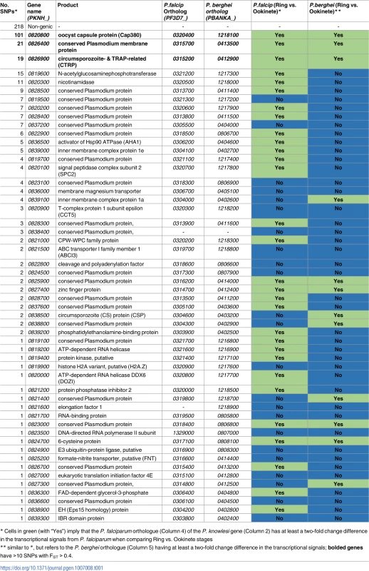 Genes located within the chromosome 8 regions of genetic exchange and transcriptional changes.