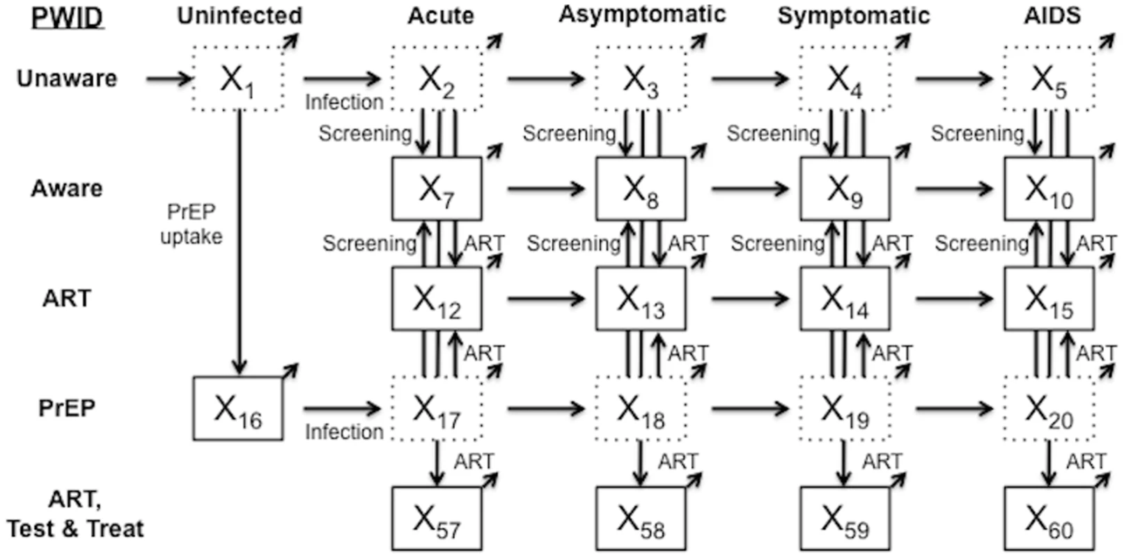 Simplified model schematic.