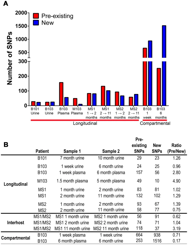 Pre-existing and new SNPs contribute to varying degrees to HCMV evolution.