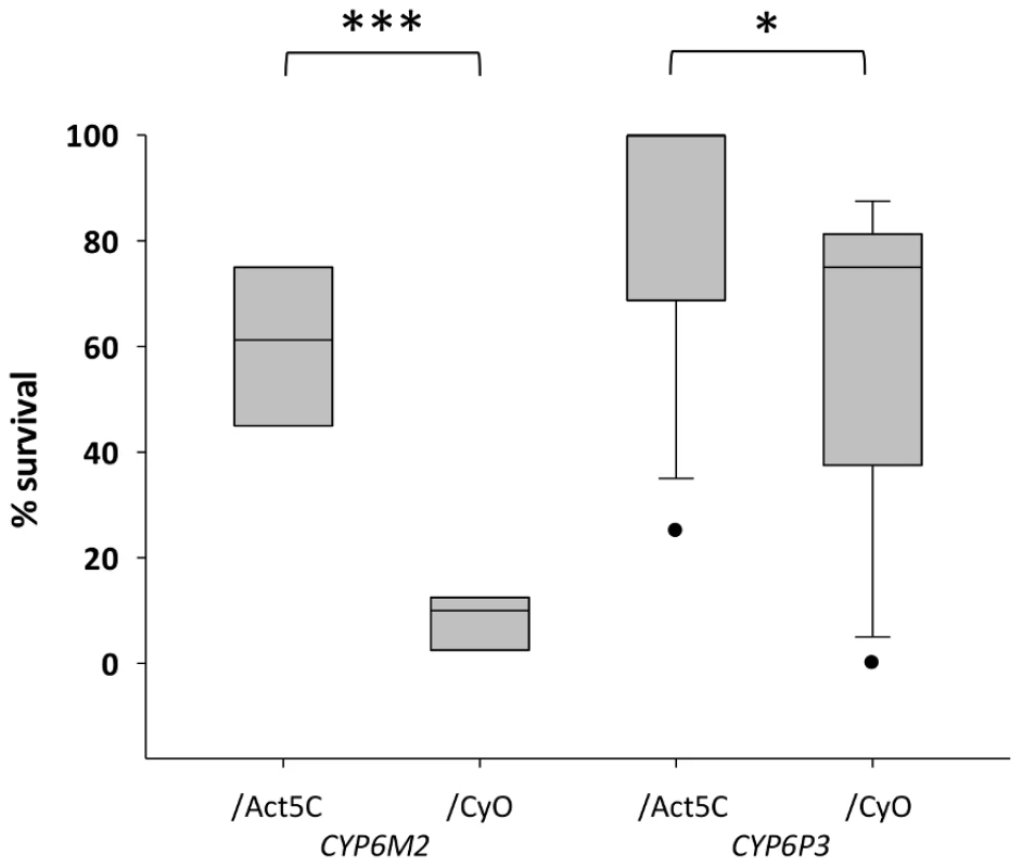 Survival of transgenic <i>Drosophila</i> expressing <i>An. gambiae Cyp6M2</i> or <i>CYP6P3</i> in the presence of bendiocarb.