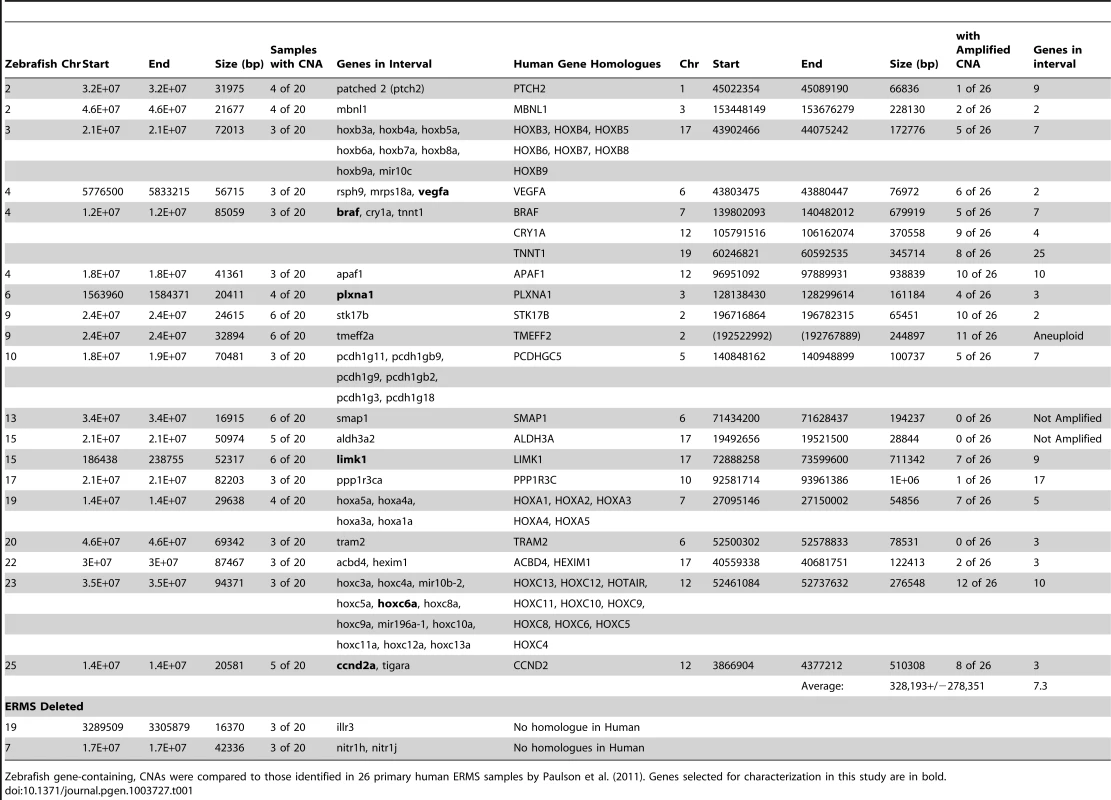 Comparison of array CGH analyses in zebrafish and human ERMS.