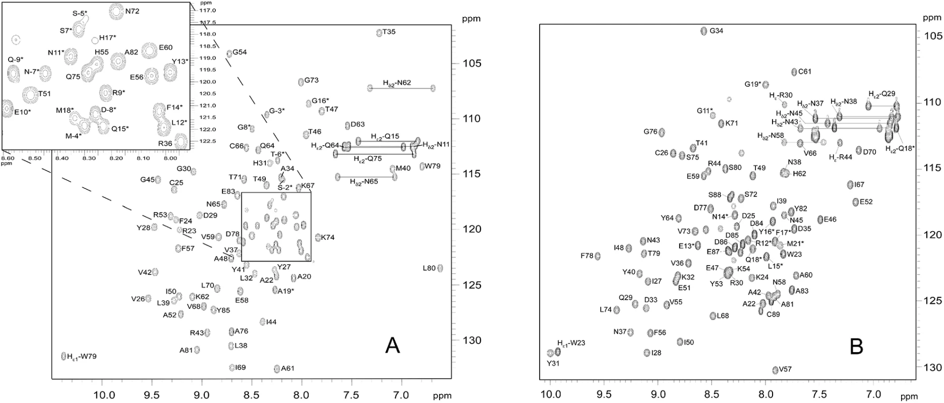 <sup>15</sup>N-HSQC spectra of (A) AVR-Pia and (B) AVR1-CO39.
