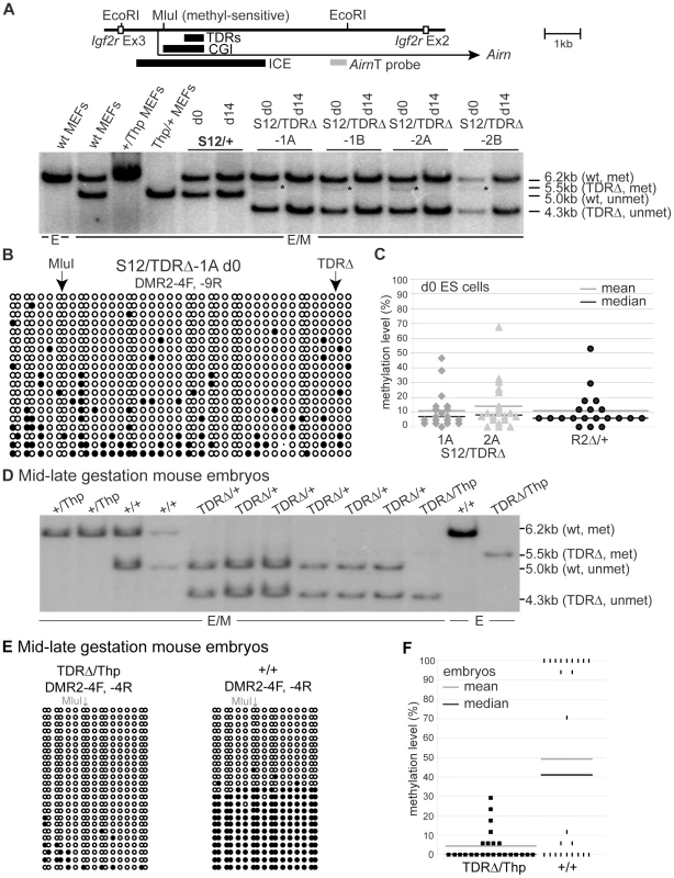 TDRs are required for the regulation of ICE DNA methylation.