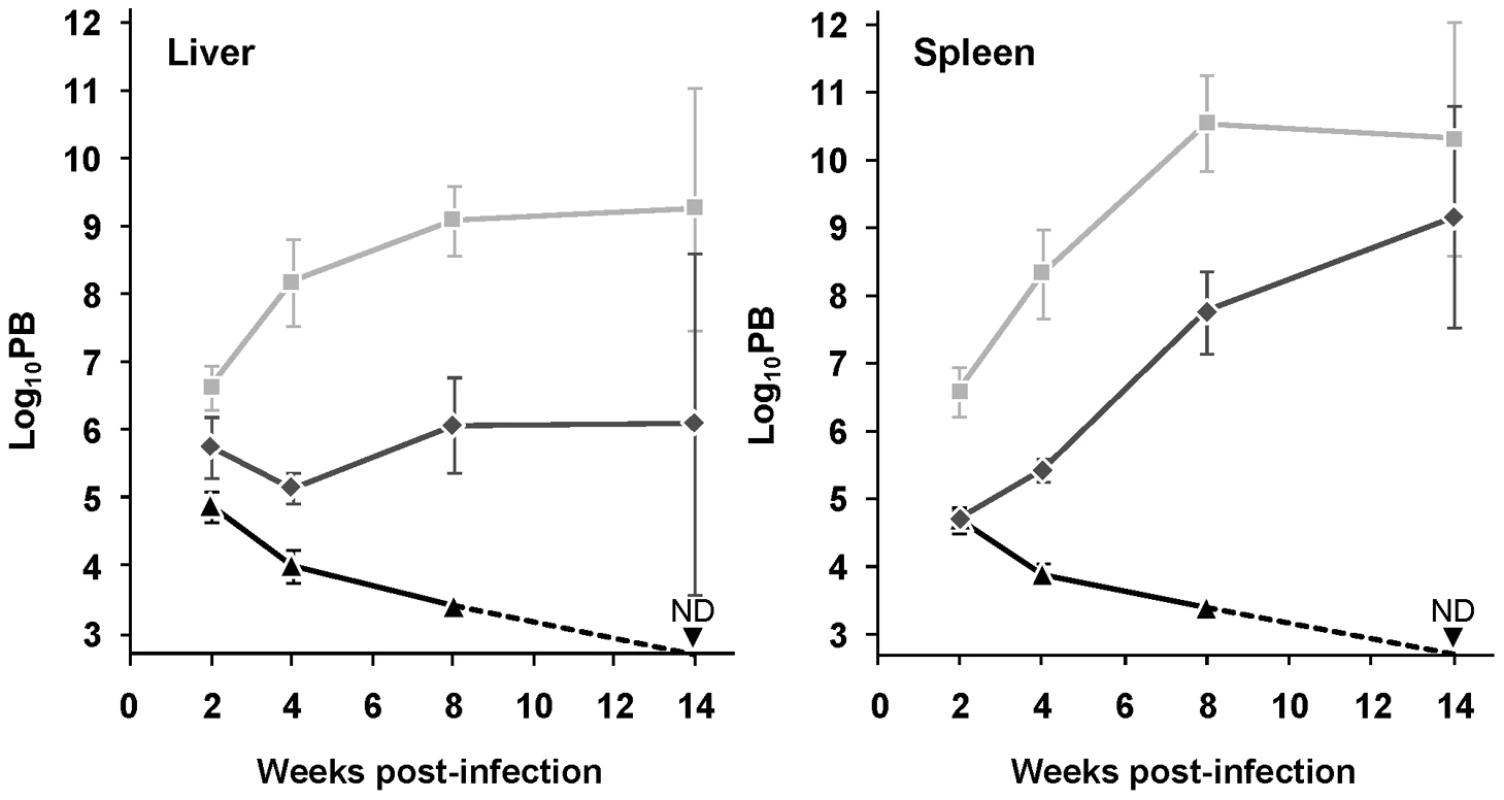 Depletion of mTXNPx impairs <i>Leishmania</i> virulence.