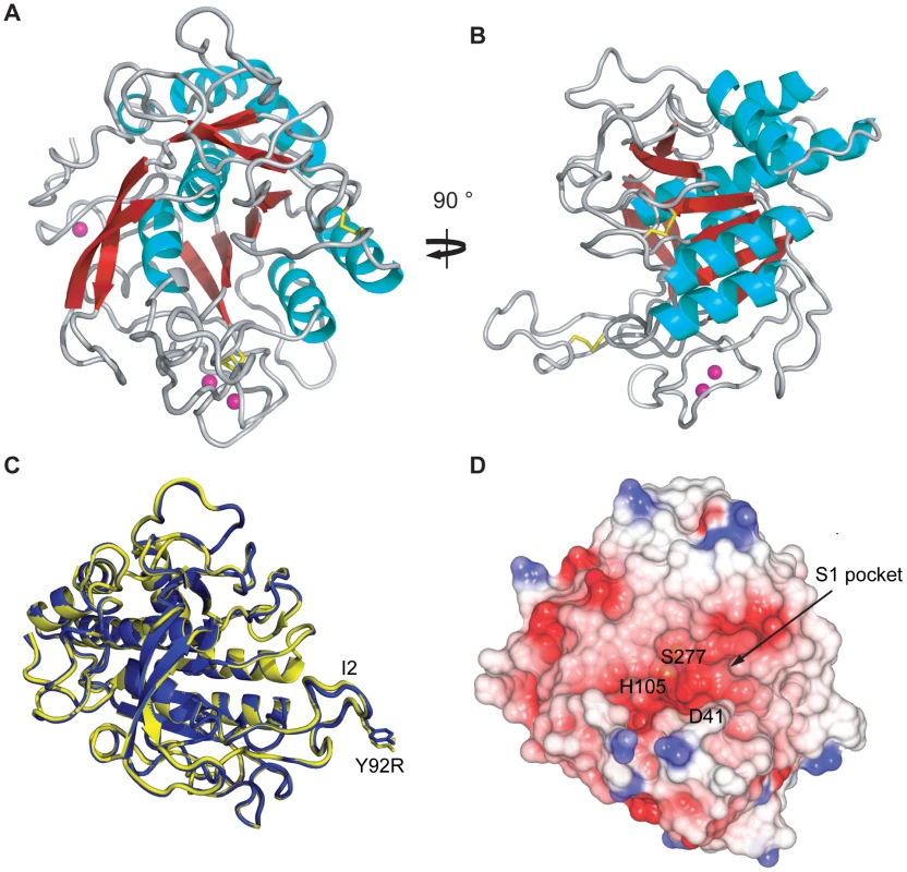 Crystal structure of AprV2.