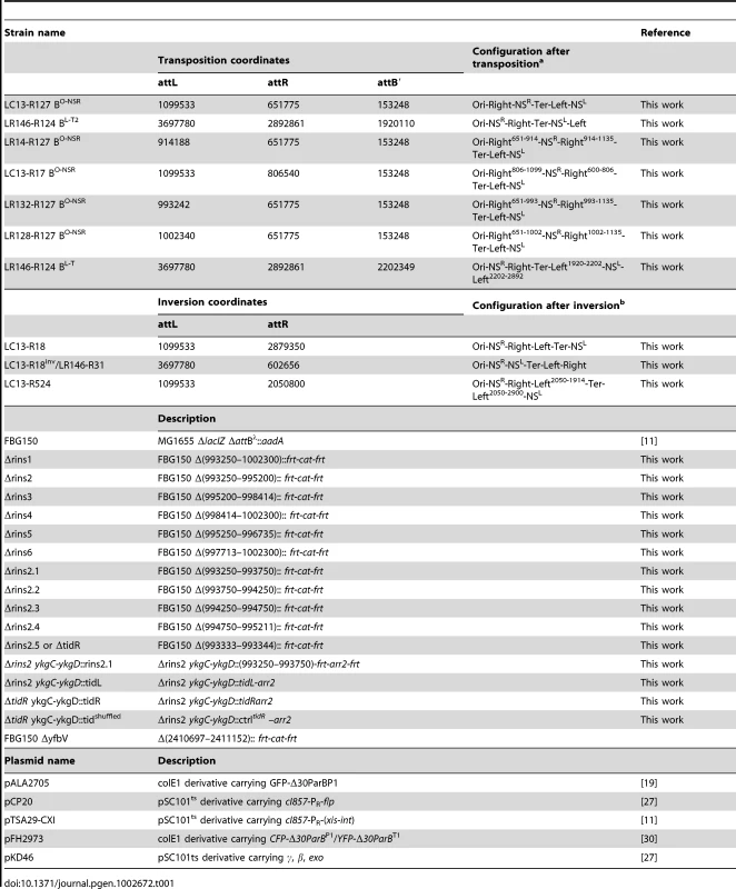 Strains and plasmids.