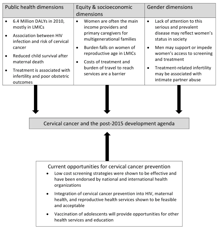 Cervical cancer and the post-2015 agenda: a multidimensional framework.