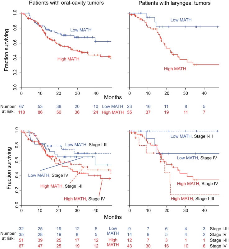 MATH value and mortality in patients with tumors in the oral cavity or the larynx.