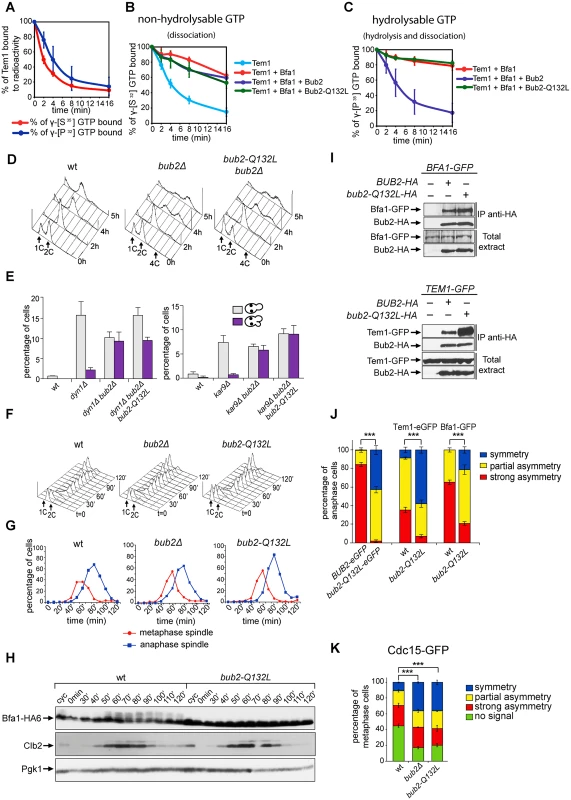 Bub2 GAP activity involves a ‘dual finger’ mechanism and promotes Bub2/Bfa1 clearance from the mother SPB.