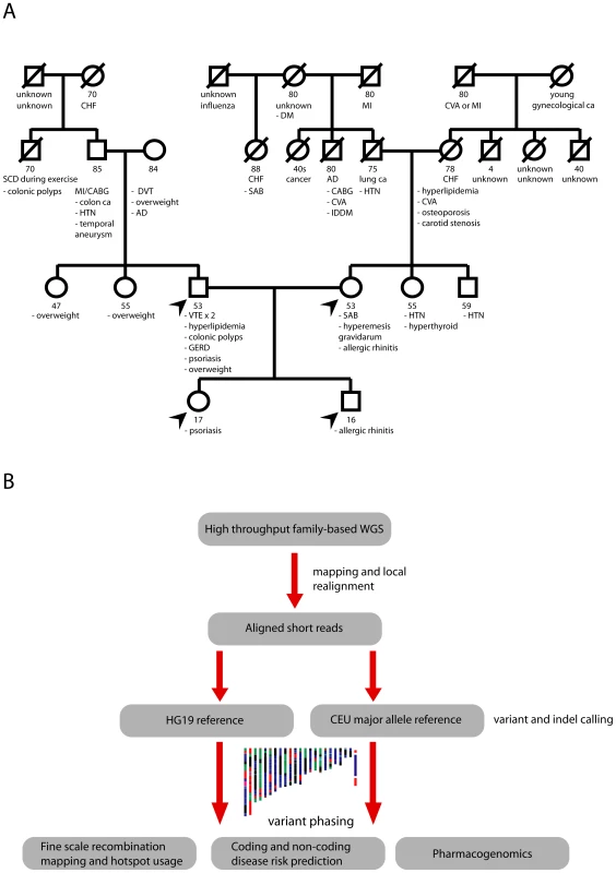 Pedigree and genetic risk prediction workflow.