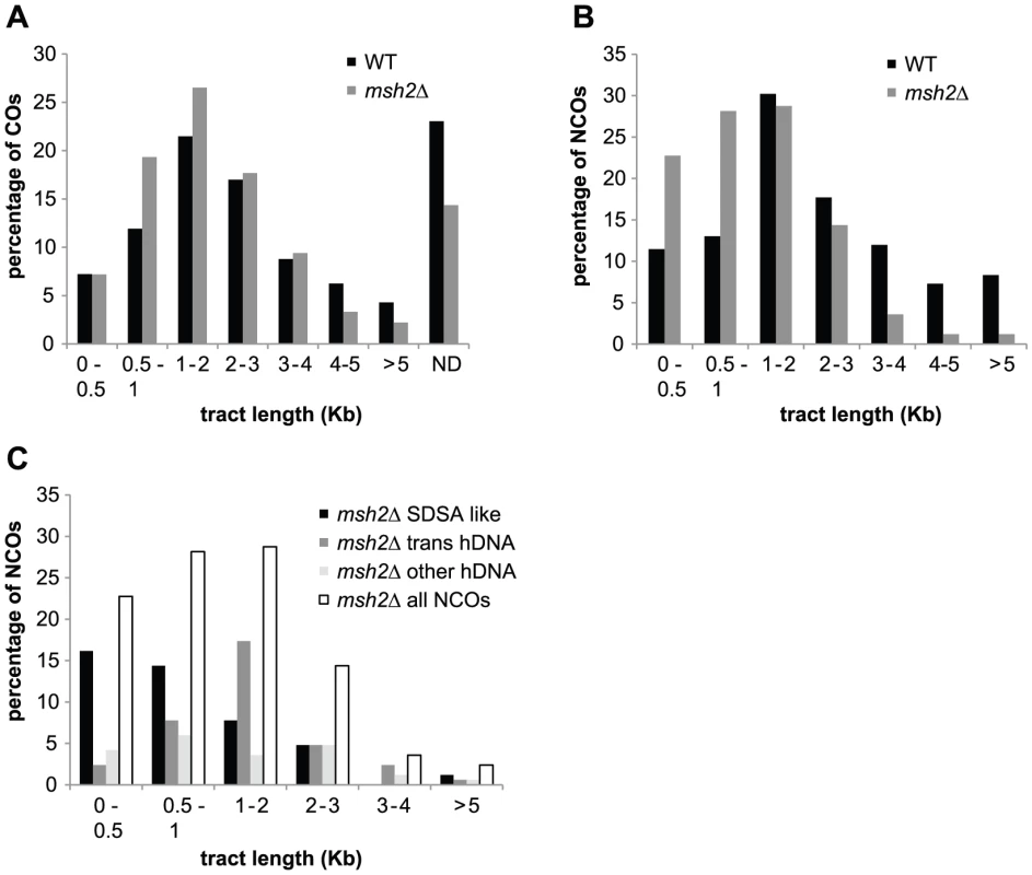 hDNA and gene conversion tract length.