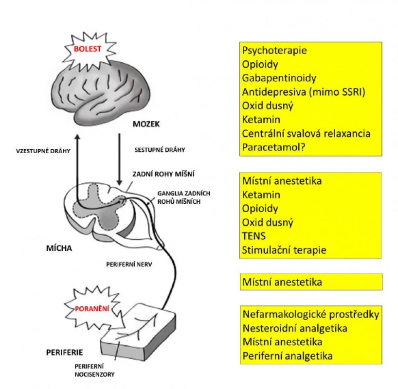 Analgetické postupy podle místa působení