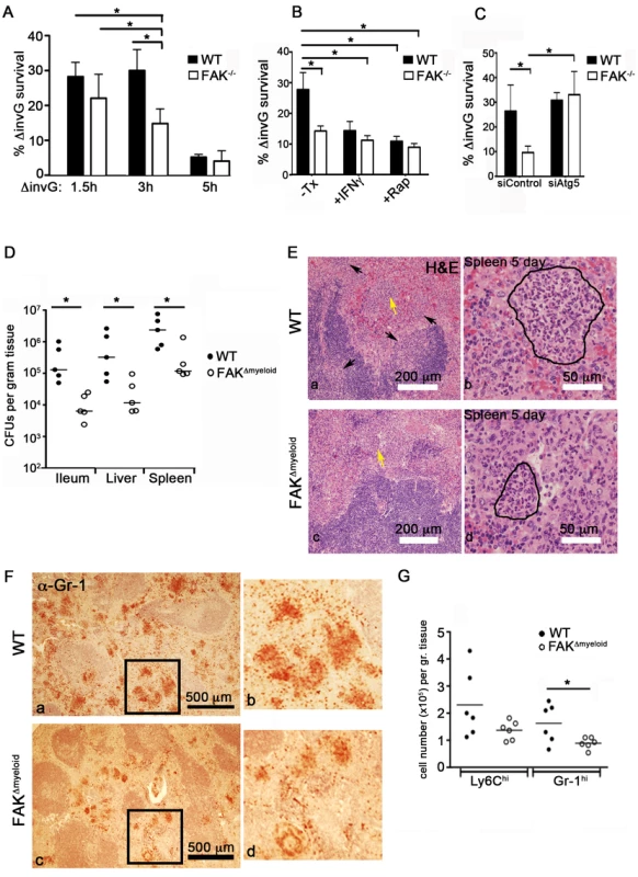 FAK deficiency improves control of <i>Salmonella</i> infection.