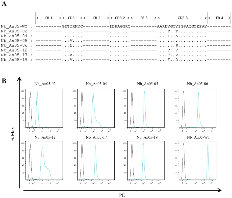 Alignment and functional characterization of Nb_An05 mutants.