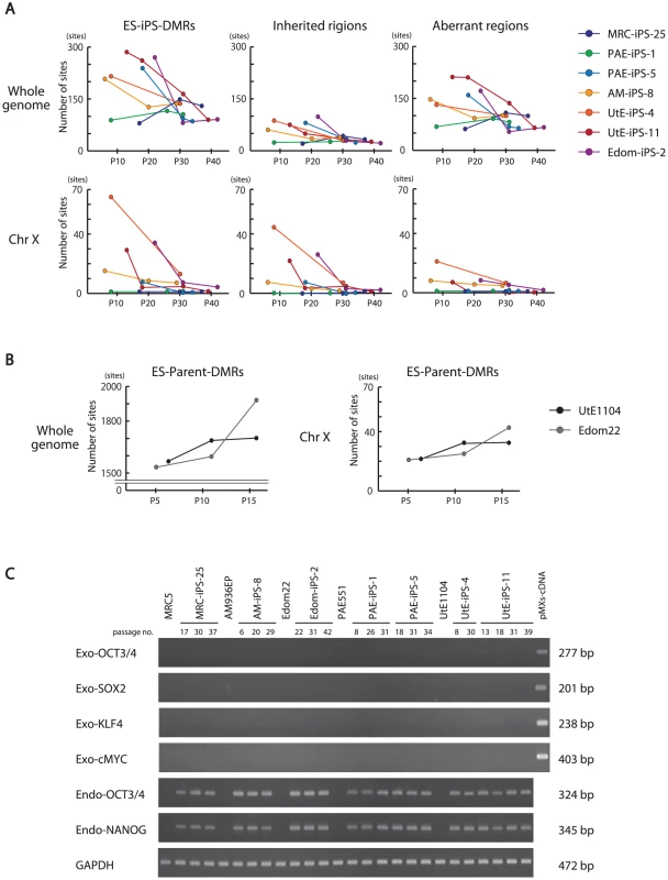 Effect of long-term cultivation on ES-iPS-DMRs.
