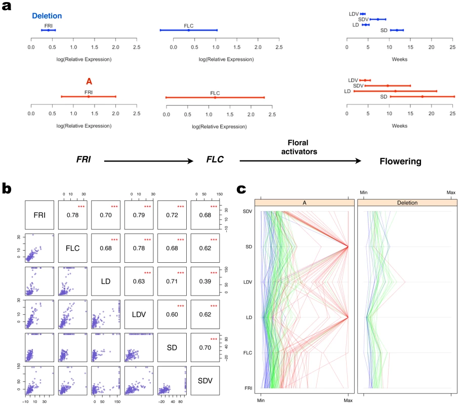 Propagation of variance heterogeneity in the <i>FRI</i>-<i>FLC</i> pathway.