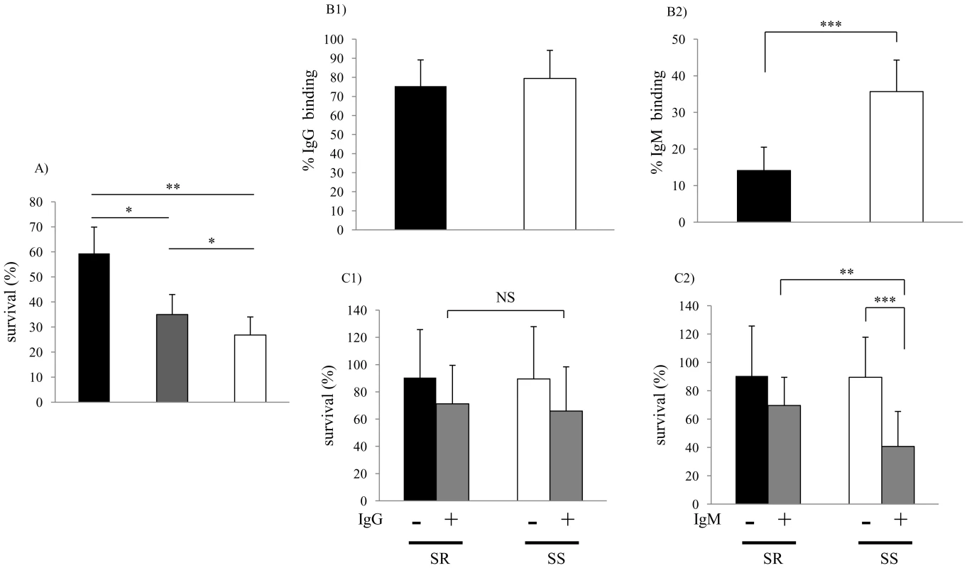 Characterization of clinical isolates.