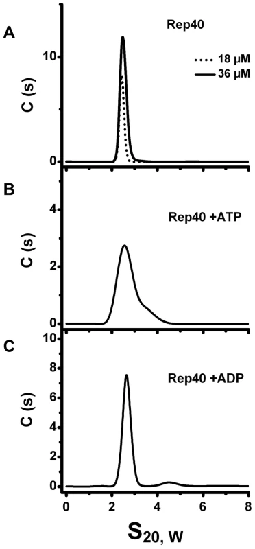 Sedimentation velocity profiles of Re40.