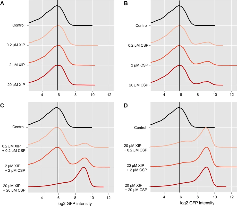 Combined effect of CSP and XIP peptides on lytFsm expression in complex medium.