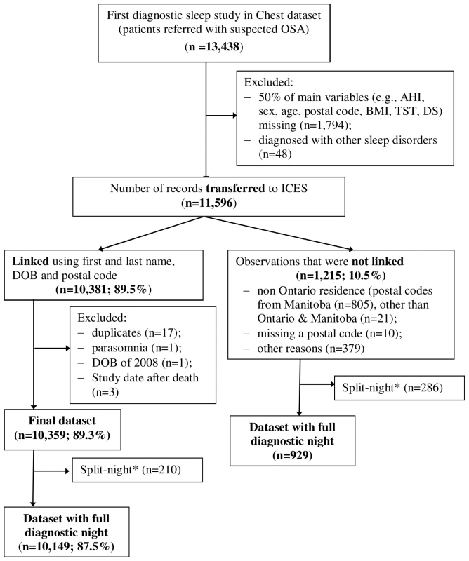 Flow diagram of the final cohort.