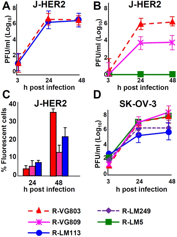 Replication of R-VG803 and R-VG809 in J-HER2 and SK-OV-3 cells.