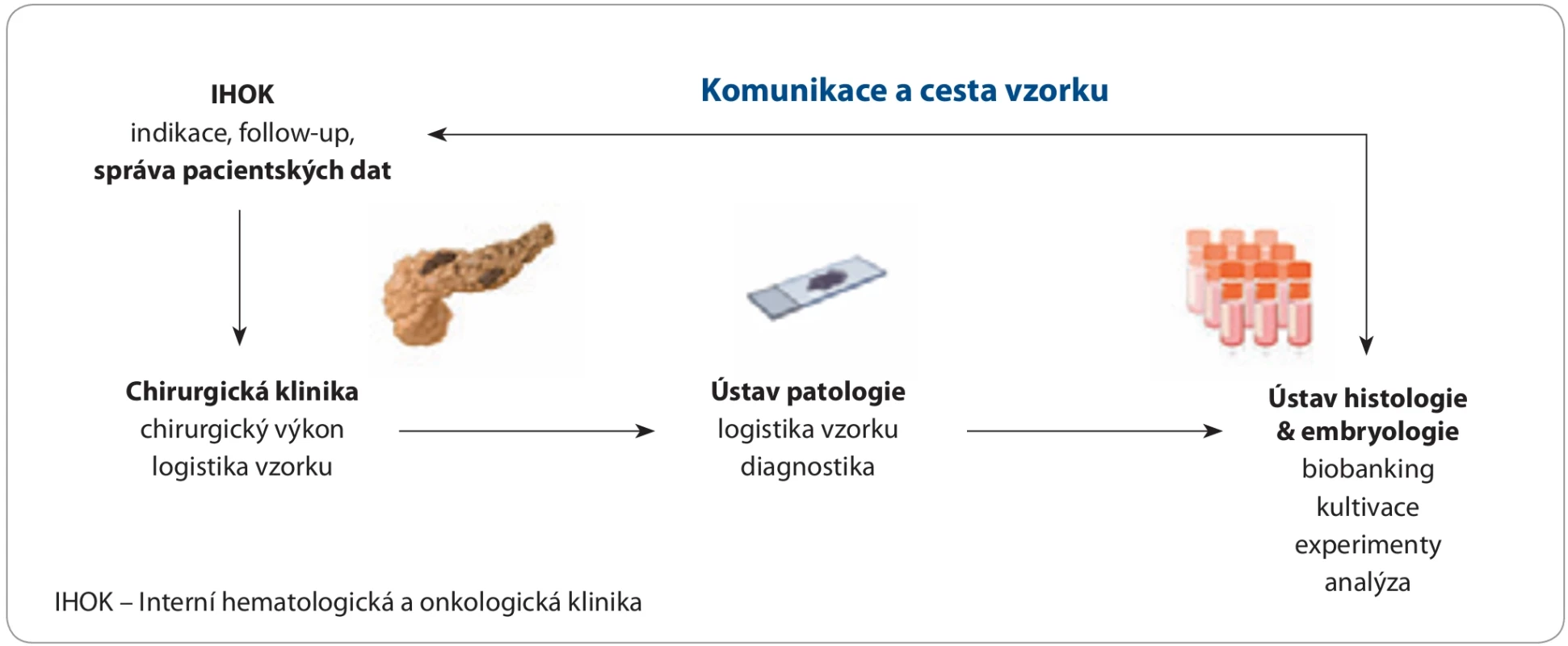 Nastavená spolupráce v rámci projektu mezi Interní hematologickou a onkologickou klinikou LF MU a FN Brno, Chirurgickou  klinikou LF MU a FN Brno, Ústavem patologie LF MU a FN Brno a Ústavem histologie a embryologie LF MU. 