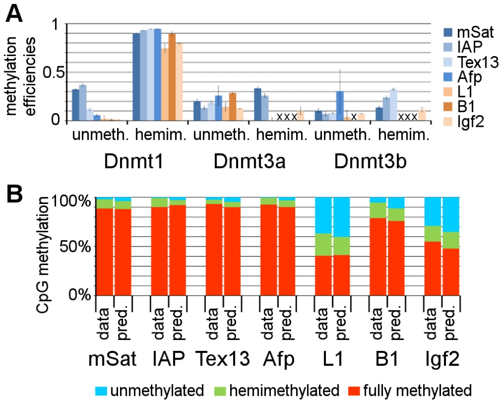Estimation of Dnmt efficiencies using a Hidden Markov Model.
