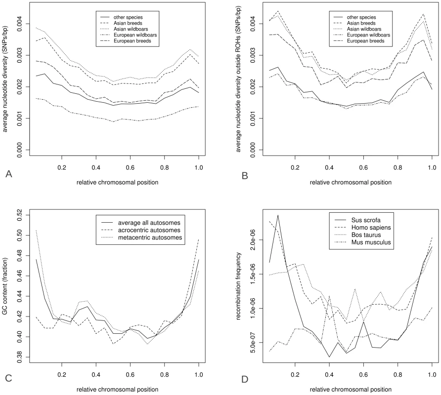 Characteristics of the porcine genome over relative chromosomal position.