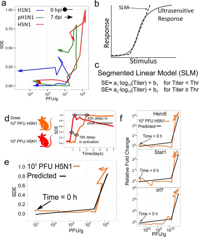 N1 module gene expression is regulated by an ultrasensitive response mechanism triggered by a specific virus concentration.